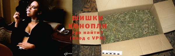бошки Иннополис