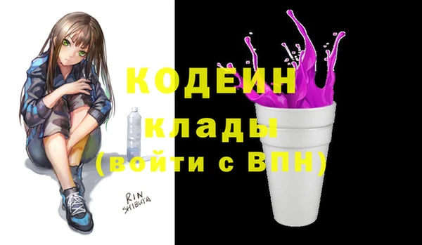 тгк Инта