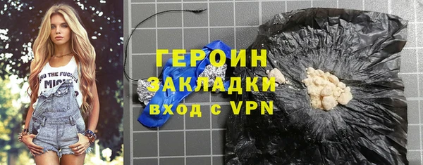 индика Каменногорск