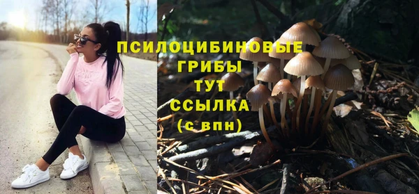 тгк Инта
