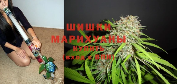 амф Заводоуковск
