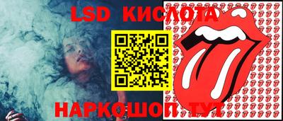 спиды Камышлов