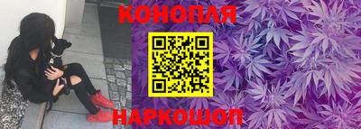 спиды Камышлов