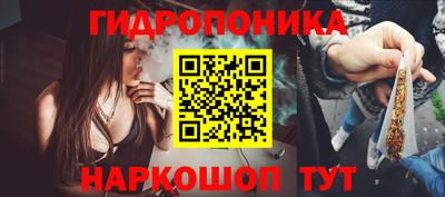 спиды Камышлов