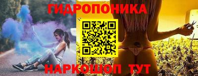 спиды Камышлов