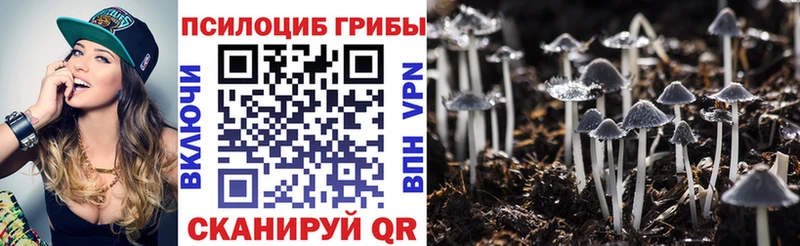 Псилоцибиновые грибы мухоморы Краснокаменск